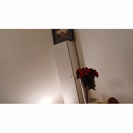 Проживание в семье Force *